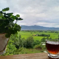 ویلا جنگلی کناررودخانه درمیرزاگلبند(امامزاده هاشم)