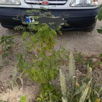 پراید 131مدل 94|خودرو سواری و وانت|بوشهر, |دیوار