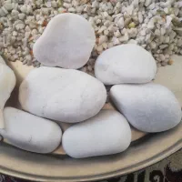 آکواریوم|ماهی|سقز, |دیوار