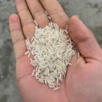 فروش برنج فجر گرگان درجه یک|خوردنی و آشامیدنی|زرگرشهر, |دیوار