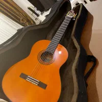 فروش گیتار نو|گیتار، بیس، امپلیفایر|کیش, |دیوار