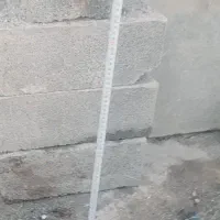 خروس لاری افغان|حیوانات مزرعه|تاتار علیا, |دیوار