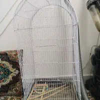 قفس بزرگ پرنده