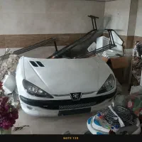 ماکت 206|کلکسیون و سرگرمی|پیرانشهر, |دیوار