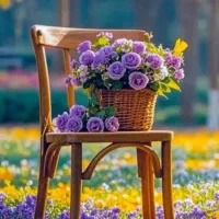 مشاوره میده راجب سازهای سنتی و کلاسیک