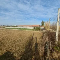 استخدام سرایدار بازنشسته متاهل