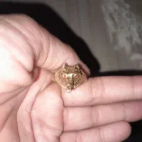 انگشتر مس گرگ