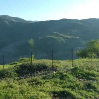 زمین زراعی بره سر (طالکوه)با اجازه ساخت ویلا|فروش دفتر صنعتی، کشاورزی، تجاری|برهسر, |دیوار