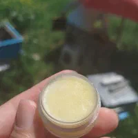 ژله رویال زنبور عسل