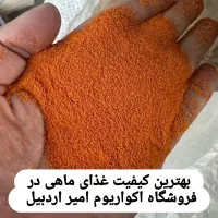 پوزه بوته ای رسید|ماهی|اردبیل, |دیوار