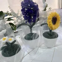 گل جاودان.هدیه خاص