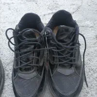 چند جفت کفش دخترانه وزنانه|کیف، کفش، کمربند|خوی, |دیوار