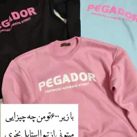 دورس و هودی