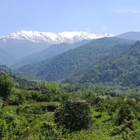 فروش ۲۸۸ متر زمین در شمال