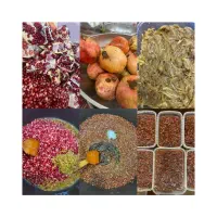 فروش انواع پک سبزی و ترشیجات