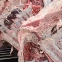 گوشت گرم و منجمد