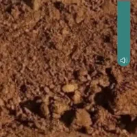 مناسب چال کود