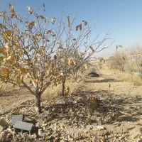 کل زمین ۱۵۰۰متر۱۰دقیقه اب