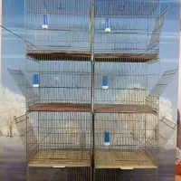 قفس جفت خون سفارشی آپارتمانی مخصوص سالن و مغازه|لوازم جانبی حیوانات|قم, الوندیه و گذر صادق|دیوار