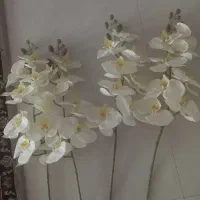 گل ارکیده مصنوعی