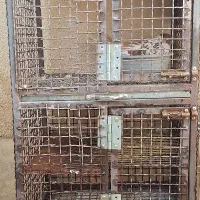 جفت کن پرنده