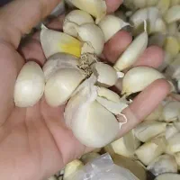 سیر دون شده سیر همدان|خوردنی و آشامیدنی|تهران, بهارستان|دیوار