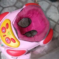 روروئک|کالسکه و لوازم جانبی|علیآباد کتول, |دیوار