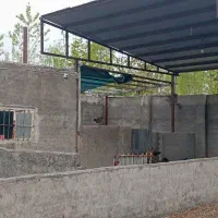 نیازمند سرمایه گذار دامداری یا همکار