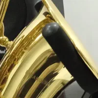 ساکسیفون التو ( پارامونت)|سازهای بادی|چمستان, |دیوار