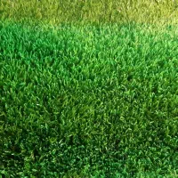 فروش چمن مصنوعی آسیا بهمراه نصب کامل ۴۸۰|مصالح و تجهیزات ساختمان|مشهد, امامیه (شهرک غرب)|دیوار