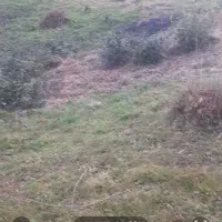 قطعه-زمین-با-کاربری-دو-طبقه-بر-روی-پیلوت