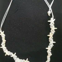 بدلیجات|بدلیجات|تربت جام, شاهد|دیوار