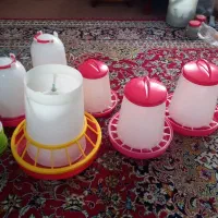 دانخوری و آبخوری پرنده