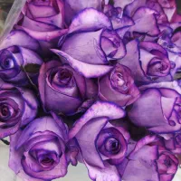انواع گل بست بندی ۲۰ عددی گلخانه با نازل ترین قیمت|گل و گیاه طبیعی|مشهد, امیر|دیوار