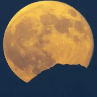 جواز مشاغل خانگی