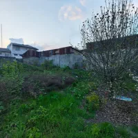 زمینی به متراژ۱۲۰۰متر مربع درخیابان شهدا رشت|فروش زمین و ملک کلنگی|رشت, پاستوریزه|دیوار