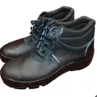 کفش کار سهند***