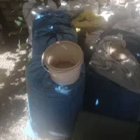 فروش جو ابی درجه یک