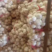 پیاز|خوردنی و آشامیدنی|شهریار, شهرک شاهد|دیوار