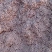 کاه|حیوانات مزرعه|تربت جام, میان جام|دیوار