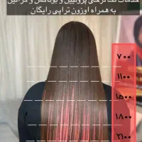 جشنواره کراتین و پروتئین تراپی|خدمات آرایشگری و زیبایی|تهران, حشمتیه|دیوار