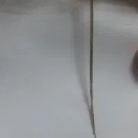 گوشواره شر شره ایی