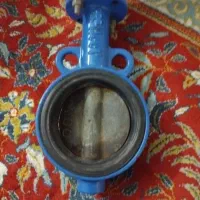 شیرفلکه پروانه ای