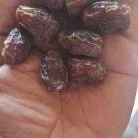 تمر بریم
