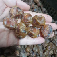 خوشمزه شیرین