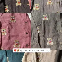 مانتو مخمل کبریتی گلدوزی تدی|لباس|نهبندان, |دیوار