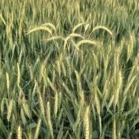 راهنمایی میخوام