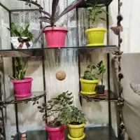 پایه ی گل