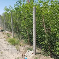 باغچه ۸۰۰ متری نظام آباد|فروش زمین و ملک کلنگی|اسلامشهر, کاشانک|دیوار