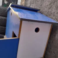 لانه مرغ و کبوتر|لوازم جانبی حیوانات|مشگین شهر, |دیوار